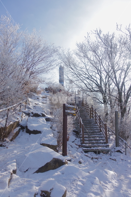 nature,자연,눈,outdoors,snow,옥외,정상,겨울,winter,대둔산