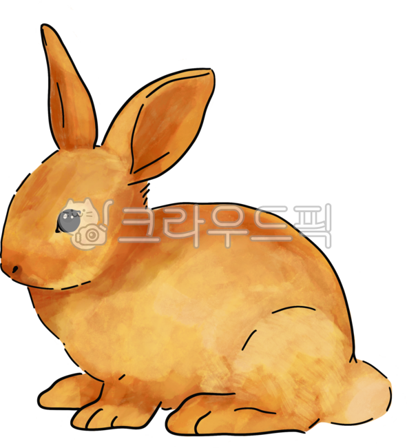 rabbit,pet,hare,domestic rabbit,companion animal,cute,pretty,rabbit