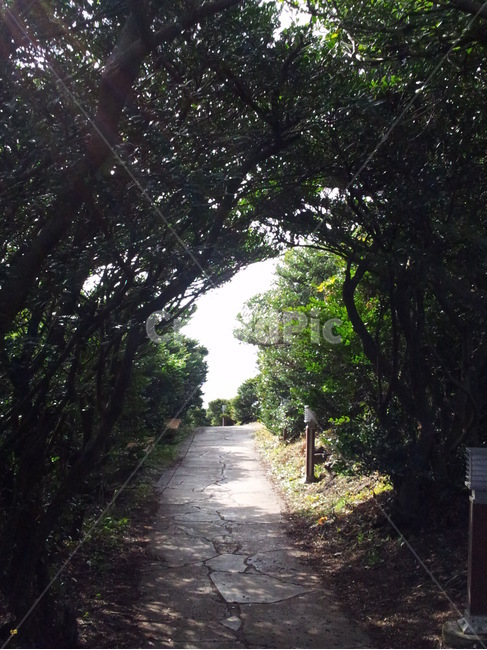 제주도,제주,자연,큰엉해안경승지,한반도모양,대한민국지도,nature