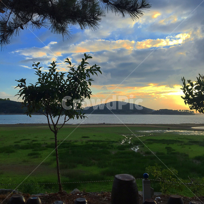 nature,자연,물,water,바다,sea,ocean,대양,해안선,shoreline,풀,항아리,노을,구름,하늘,sky,힐링,여름,자연,풍경,nature,landscape