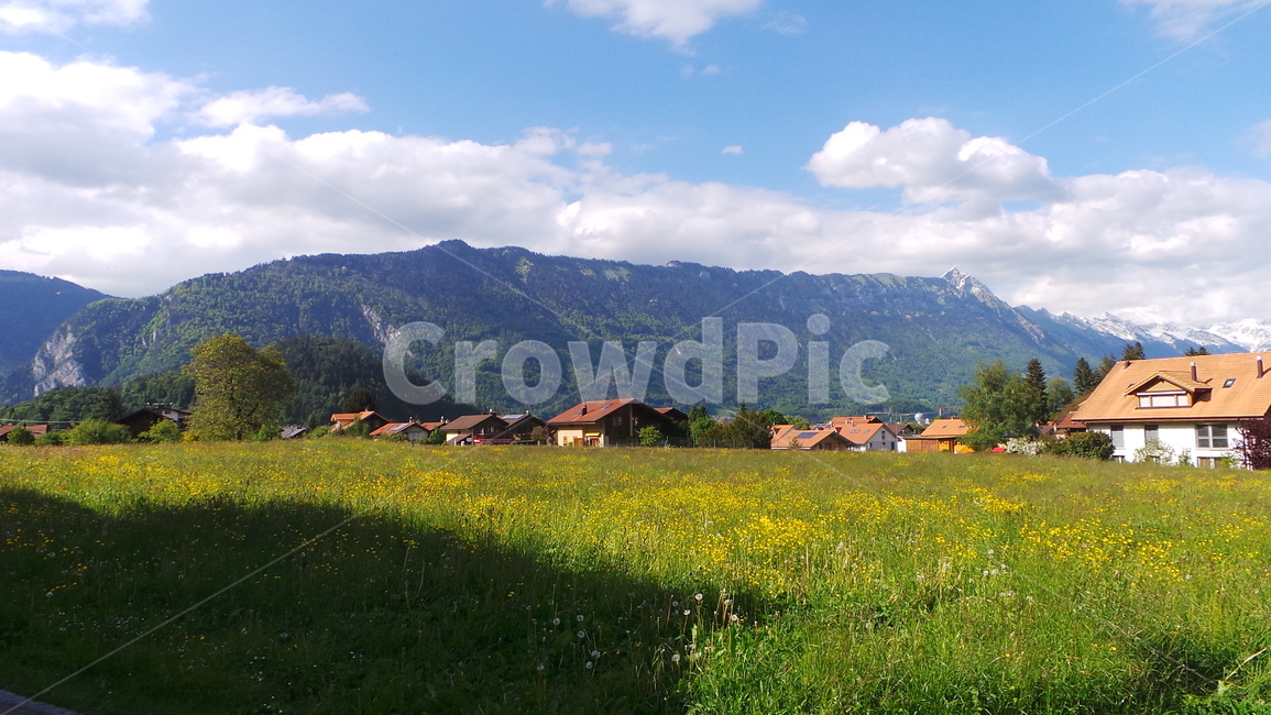 nature,자연,outdoors,옥외,들,farm,field,grassland,countryside,농장,농촌,mountain,산,view,풍경,자연,풍경,nature,landscape,목초지,rural