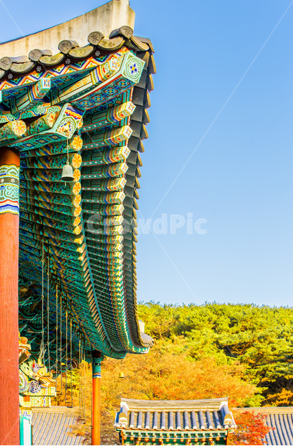 기와,처마,단청,선,사찰,한국전통,한국문화,korean traditional,korean culture,건축물,건물외관,exterior,building,structure,architecture,construction