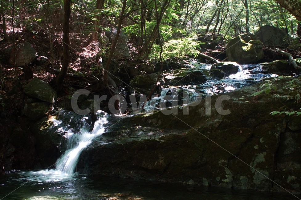폭포,계룡산,계곡,갑사,풍경,자연,풍경,nature,landscape,한국자연풍경,한국자연경관,korea nature landscape,water,물,outdoors,옥외,creek,작은 만,stream,흐름,river,강