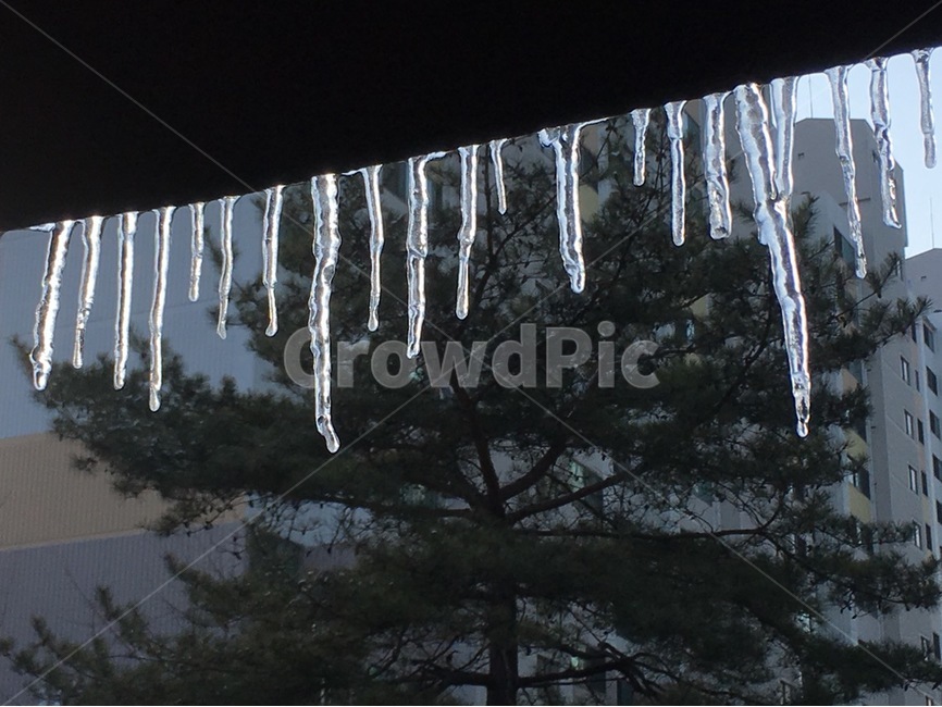 겨울,고드름,추위,처마,얼음,겨울,계절,winter,season