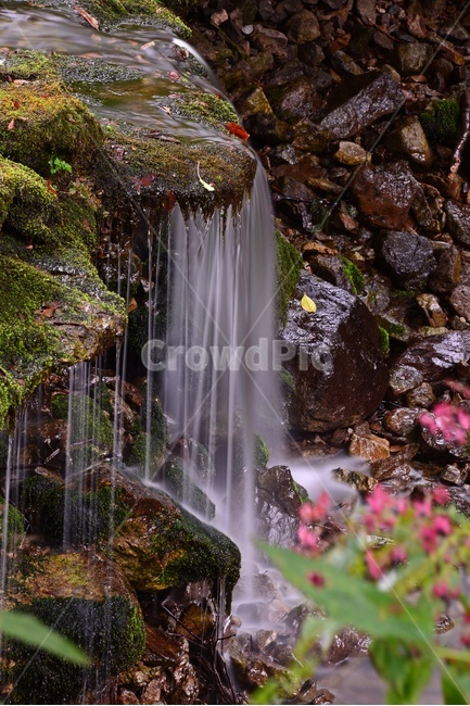 계곡,꽃,water,물,outdoors,옥외,nature,자연,waterfall,폭포,경치,풍경