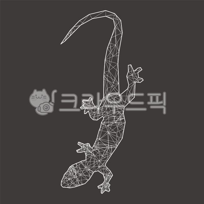 geometric pattern,chameleon,Lizard,snake,reptile,salamander,frog,Constellation,Gaeko,geometry,lizard
