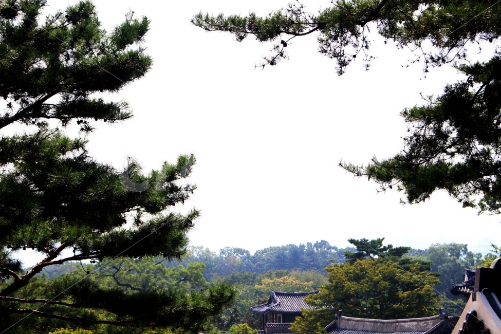 한옥,기와,기와지붕,청동지붕,지붕,건축,집,잔디,풀,잡초,초록,초록색,자연,야외,나무,하늘,자연,풍경,nature,landscape,한국자연풍경,한국자연경관,korea nature landscape,한국전통,한국문화,korean traditional,korean culture,plant,식물,tree