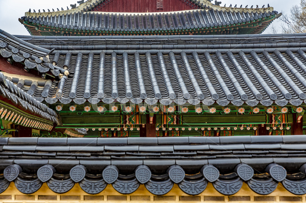 창덕궁,고궁,궁궐,기와,기와지붕,건축물,전통건축물,문화유산,문화재,전통담장,한국전통,한국문화,korean traditional,korean culture,건축물,건물외관,exterior,building,structure,architecture,construction