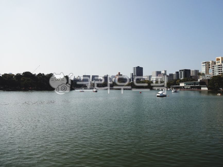 오호리공원,호수,후쿠오카,관광지,오리배,공원,호수공원