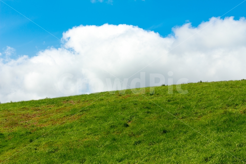 사진,초원,양떼목장,photo,대관령,자연,풍경,nature,landscape,field,들,outdoors,옥외,grassland,목초지