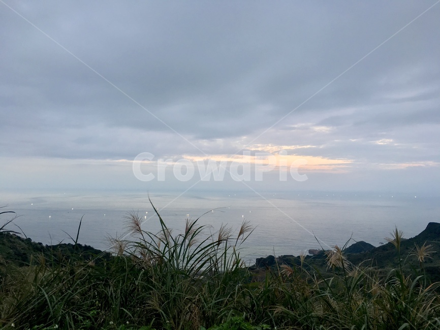 바다,하늘,갈대,sea,ocean,sky,reed,자연,풍경,nature,landscape,grass,잔디,plant,식물,vegetation,초목