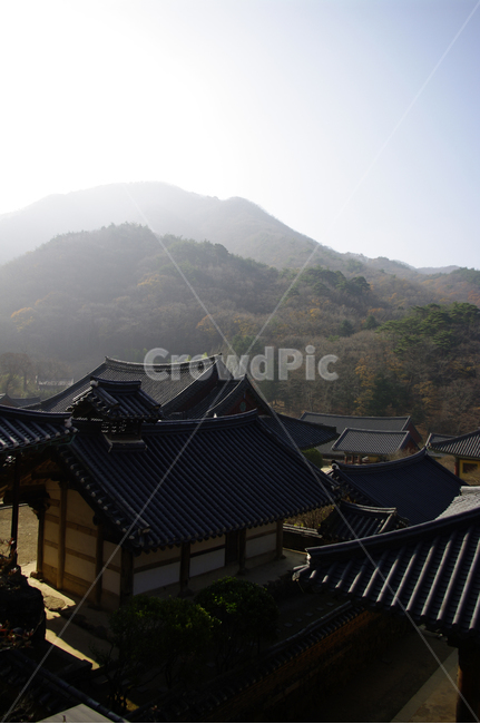 기와지붕,전통,산,사찰,전각,한국,한국전통,한국문화,korean traditional,korean culture,건축물,건물외관,exterior,building,structure,architecture,construction