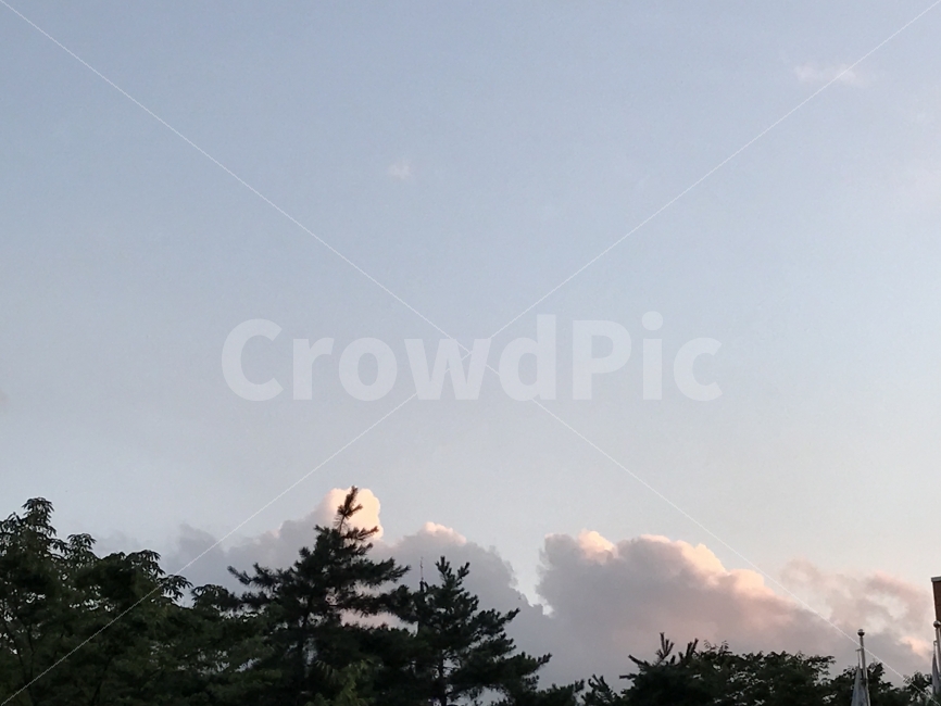 맑음,구름,하늘,사진,취미,자연,풍경,nature,landscape,outdoors,옥외,plant,식물,tree,나무