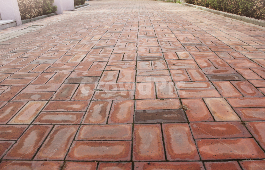 pattern,Red,red,sidewalk block,Perspective,road,road name,block,brick,floor