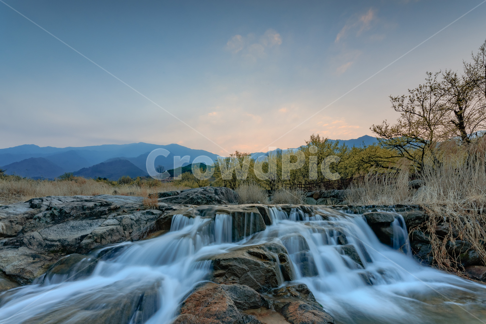 여명,자연,산수유,계류,일출,자연,풍경,nature,landscape,한국자연풍경,한국자연경관,korea nature landscape,water,물,river,강,outdoors,옥외,waterfall,폭포
