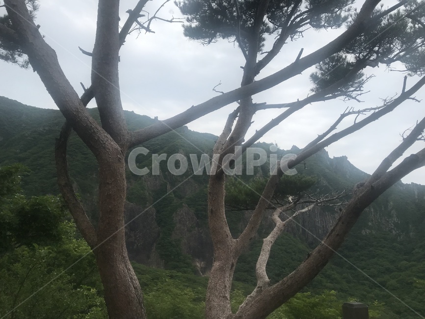 제주한라산,한라산,영실탐방로,백록담,윗세오름
