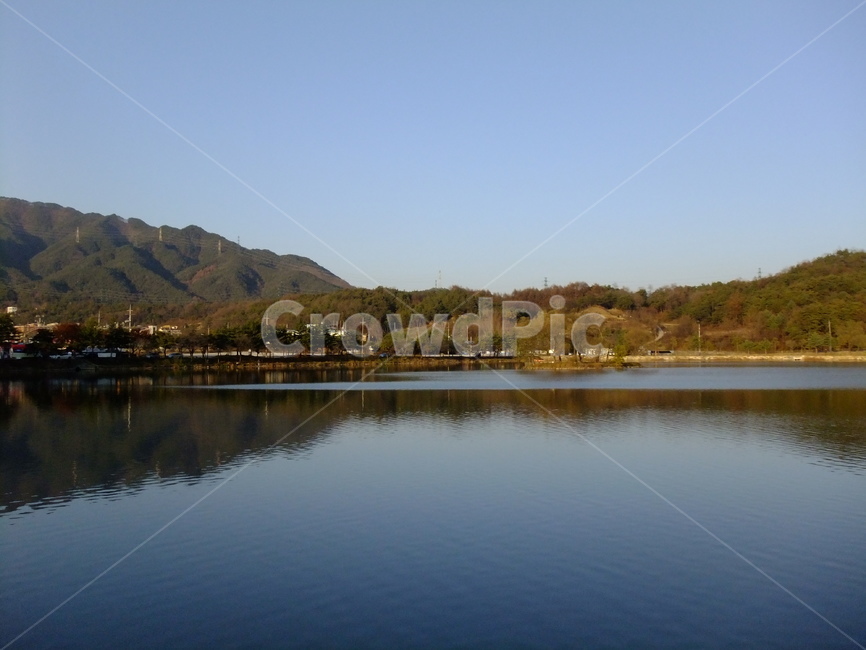 의림지,제천,소나무,나무,유원지,자연,자연,풍경,nature,landscape,water,물,outdoors,옥외