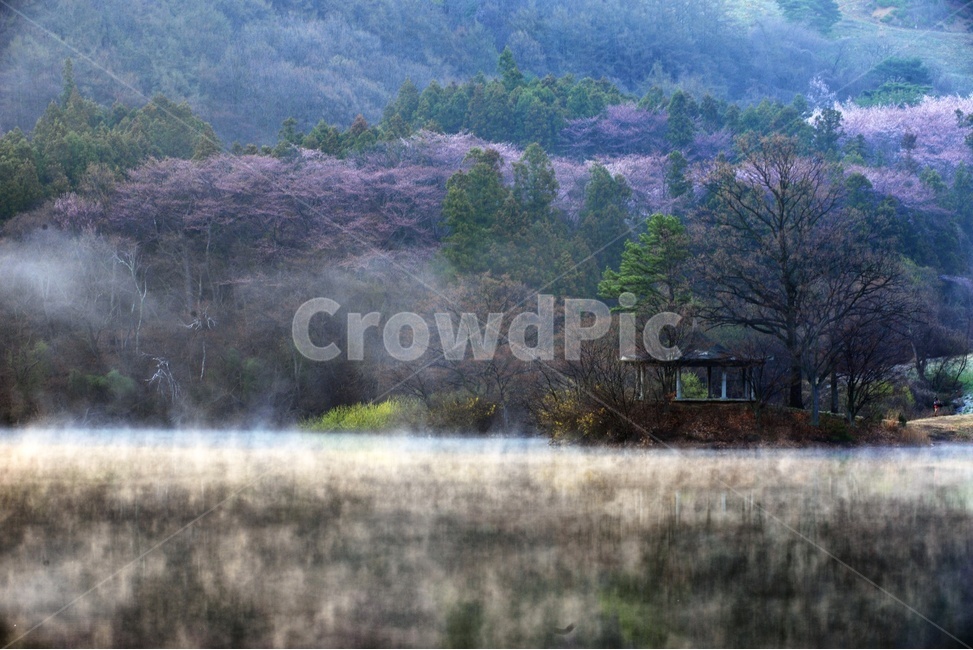 몽환,안개,자연경관,풍경,물,산,음산,적막,고요,아름다운,자연풍경,조용,자연,풍경,nature,landscape,한국자연풍경,한국자연경관,korea nature landscape,outdoors,옥외