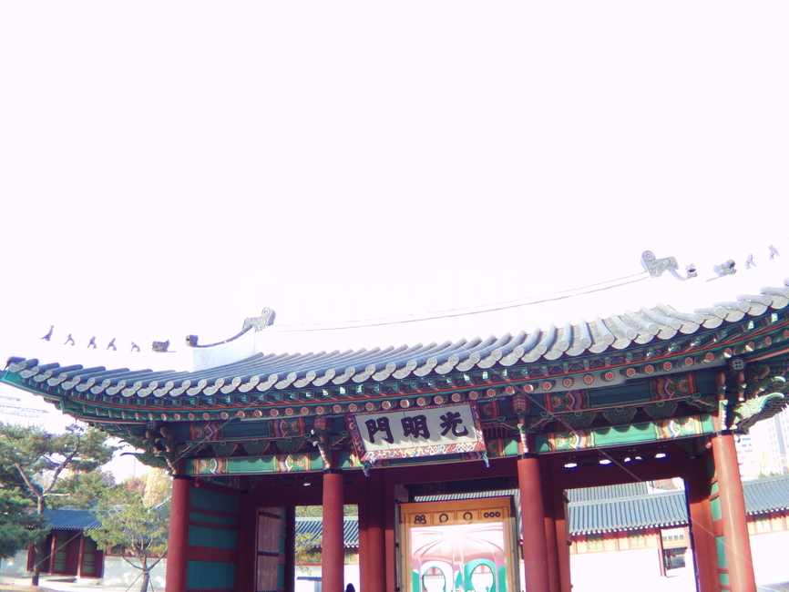 덕수궁,한옥,덕수,궁궐,조선,조선시대,건축,건축물,한국,조선건축물,기와집,기와,서까래,문,대문,기둥,나무집,목조,목조건물,목조집,나무로만든,나무의,재질,유네스코,유산,문화,역사