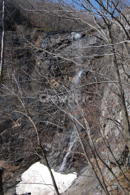 등산로,겨울,나무,자연,winter,겨울,계절,winter,season,자연,풍경,nature,landscape,식물,plants,나무,trees,wood