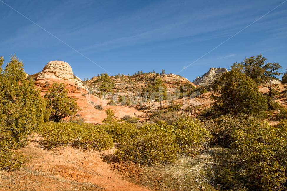 zioncanyon,national,utah,plateau,erosion,sandstone,scenery,arid,beautiful,blue,canyon,cliff,desert,geology,hiking,hill,landscape,mountain,natural,nature,nevadadesert,outdoor,park,red,rock,sand,scenic,sky,stone,summer,tourism,usa,valley,view,미국,아메리카,유타,사막,황량,자이언캐년,자연,풍경,nature,landscape,해외,외국,세계,foreign,oversea,world,세계자연풍경,해외자연풍경,외국자연풍경,world nature landscape
