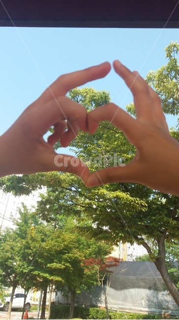 연인,손,손모양,연인손,깍지,데이트,커플,손하트,하트,couple,사람,인물,인간,human,person,신체일부,몸,body