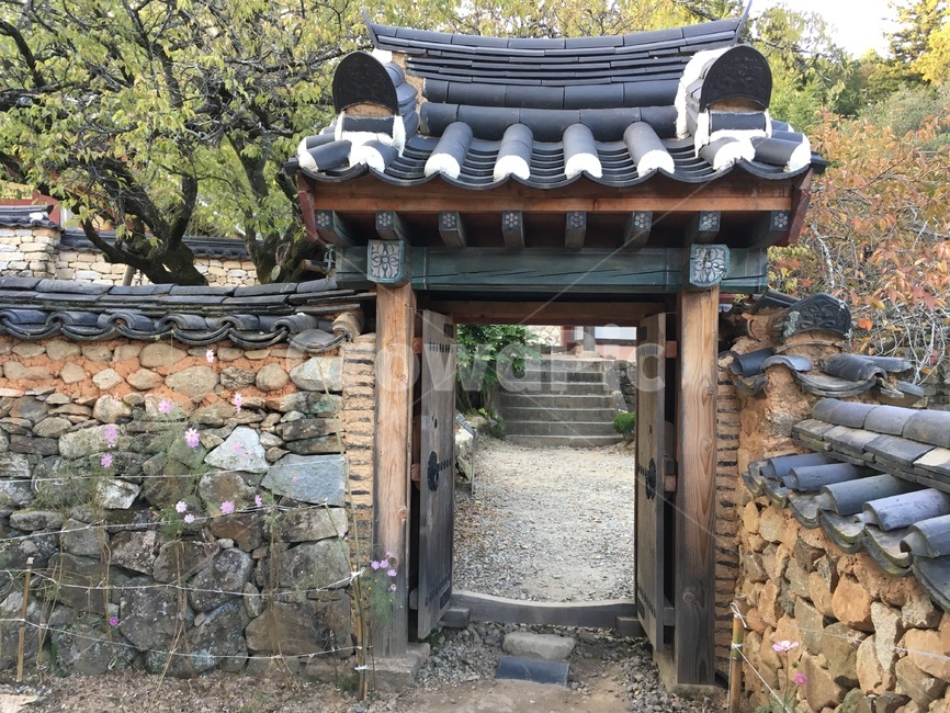 선암사,풍경,가을,낙엽,돌담장,돌담,담장,기와,산사,산지승원,절,사찰,불교,템플스테이,기도,유네스코,세계문화유산,문,한국전통,한국문화,korean traditional,korean culture,건축물,건물외관,exterior,building,structure,architecture,construction