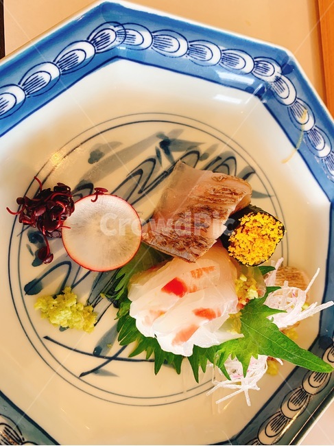 사시미,회,일본,재팬,japan