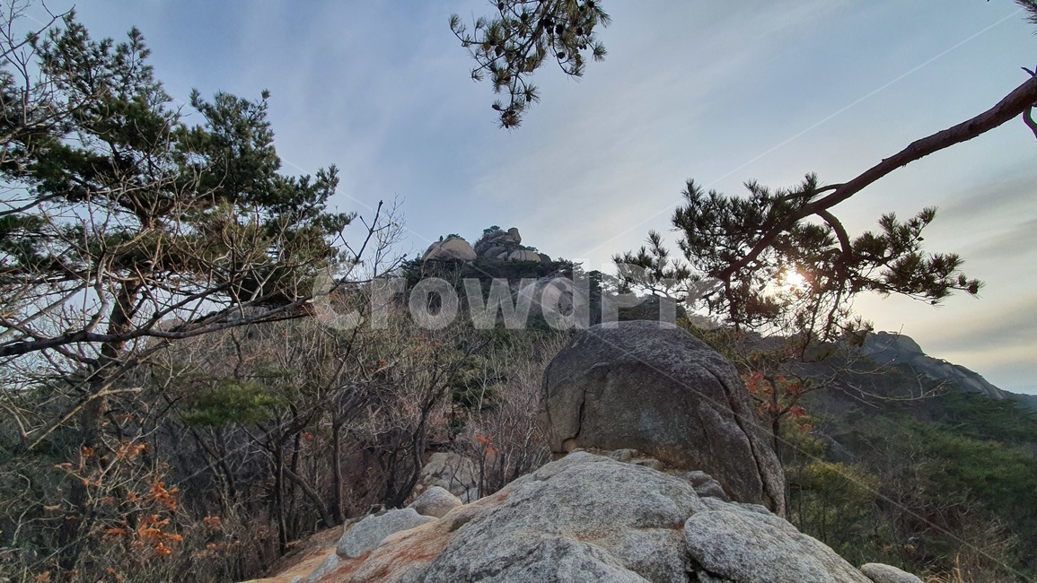 산,mountain,nature,자연,outdoors,옥외,countryside,한지방,hill,언덕,tree,나무,plant,식물,treetrunk,나무줄기