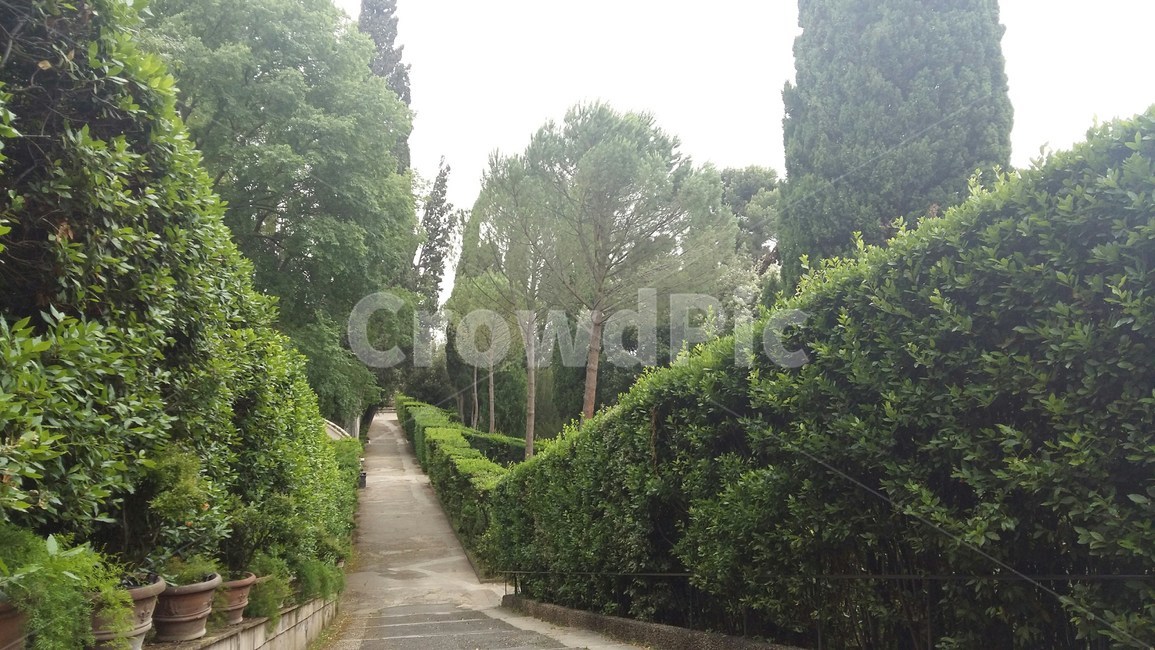 숲,정원,나무,길,맑음,자연,풍경,nature,landscape,outdoors,옥외,garden,arbour,정자