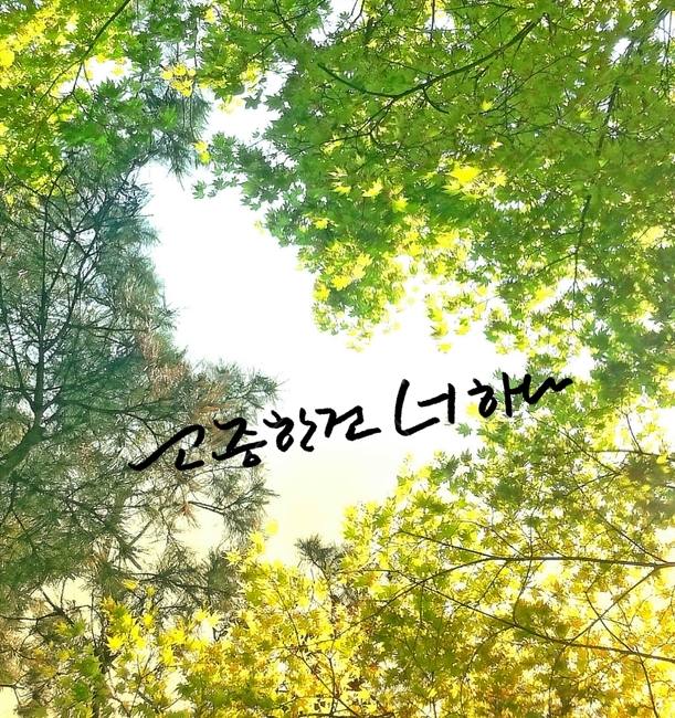 캘리그라피,나무,숲,사랑,소중,하트,캘리그라피,손글씨,calligraphy