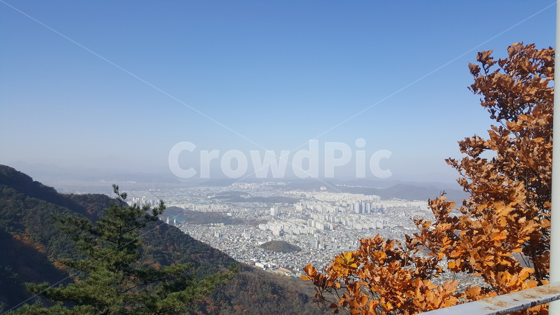 대구앞산,전망대,전경,풍경,산속
