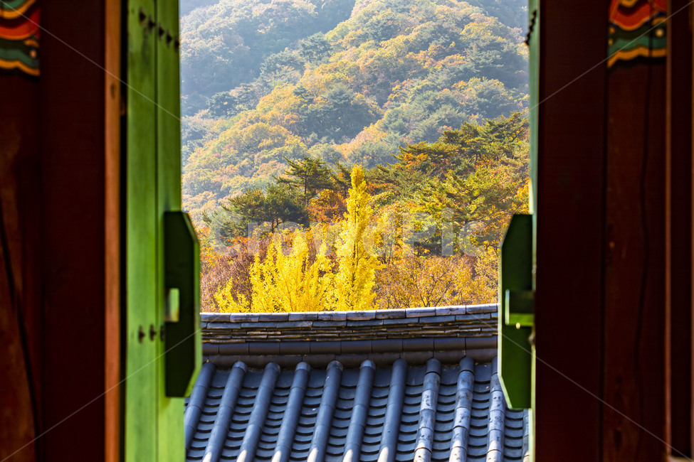 청평사,단청,기와,기와지붕,가을,전통가옥,전통건축물,건축물,단풍,감성,지붕,roof,가을,계절,fall,autumn,season,한국전통,한국문화,korean traditional,korean culture,건축물,건물외관,exterior,building,structure,architecture,construction,window,창문