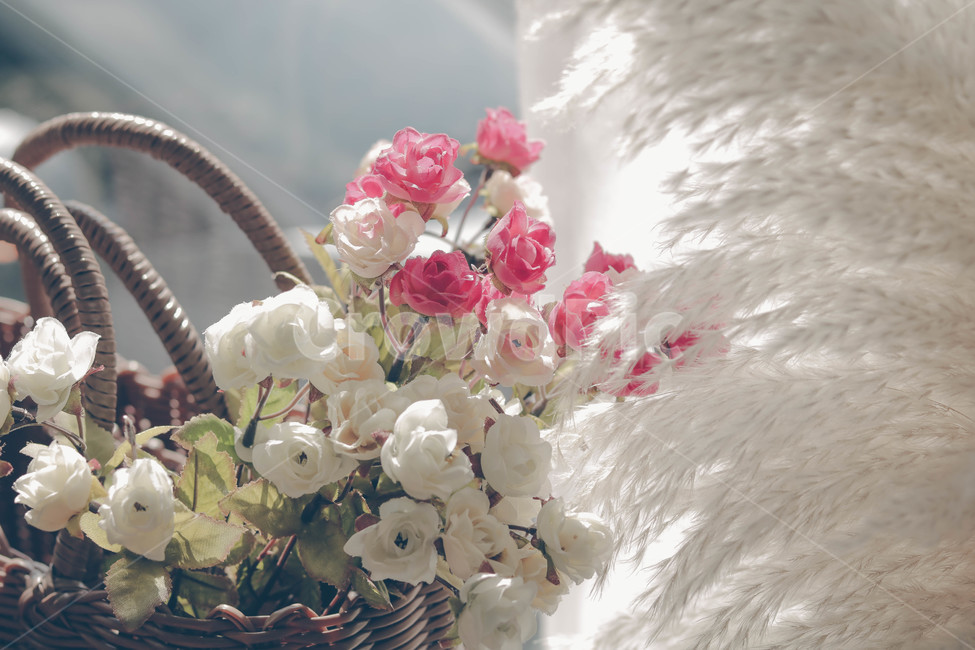꽃,조화,핑크,감성사진,인테리어소품,꽃,flower,감성,sensible,feeling