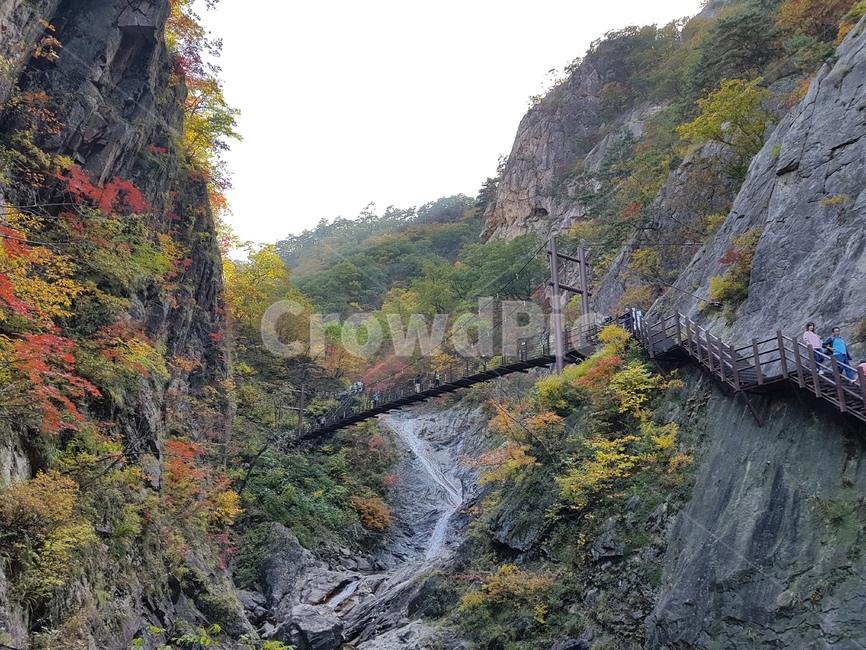 산,단풍,다리,가을,자연,nature,mountain,내장산,낭떠러지