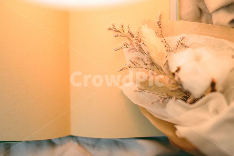 memory,book,craft,memo,cotton,dried flower,interior,paper,record,prop,handmade,business,texture,bouquet,flower,diary,kraft