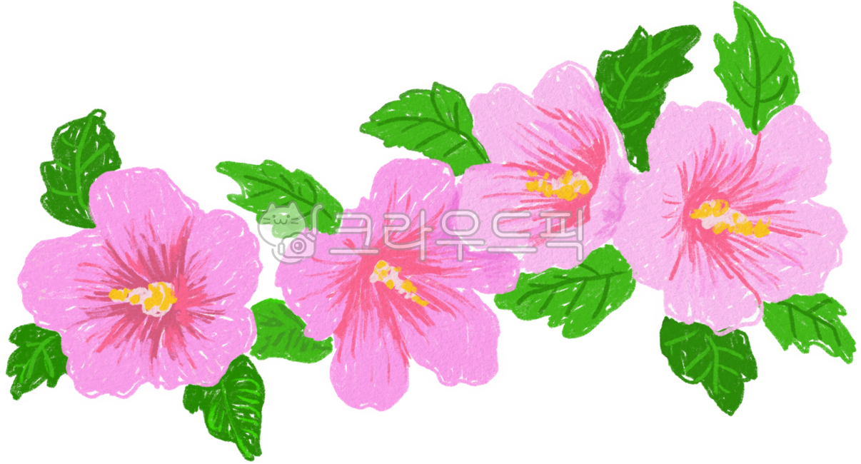 무궁화,꽃,나라꽃,한국꽃,분홍꽃,여름,국가,국화,애국,삼일절,광복절,현충일,제헌절,나라사랑,손그림,일러스트,koreanflower,handdrawing,flower,illustration