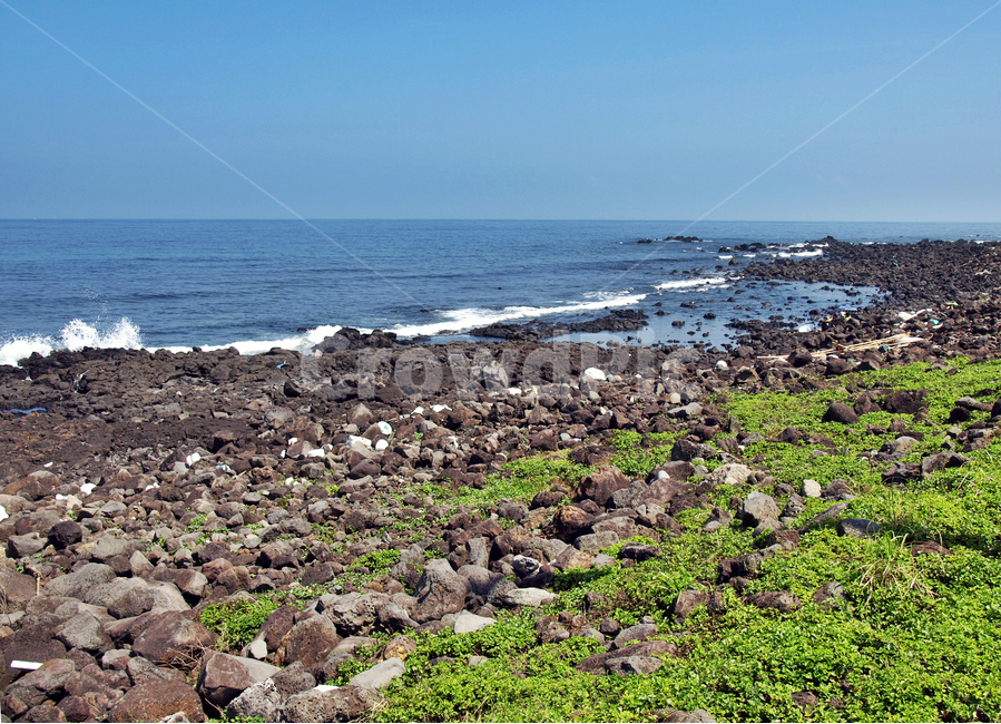신천리해변,바다목장,올레3코스,올레,제주,서귀포,바다,자연,풍경,nature,landscape,제주도,jeju,jeju island,ground,바닥