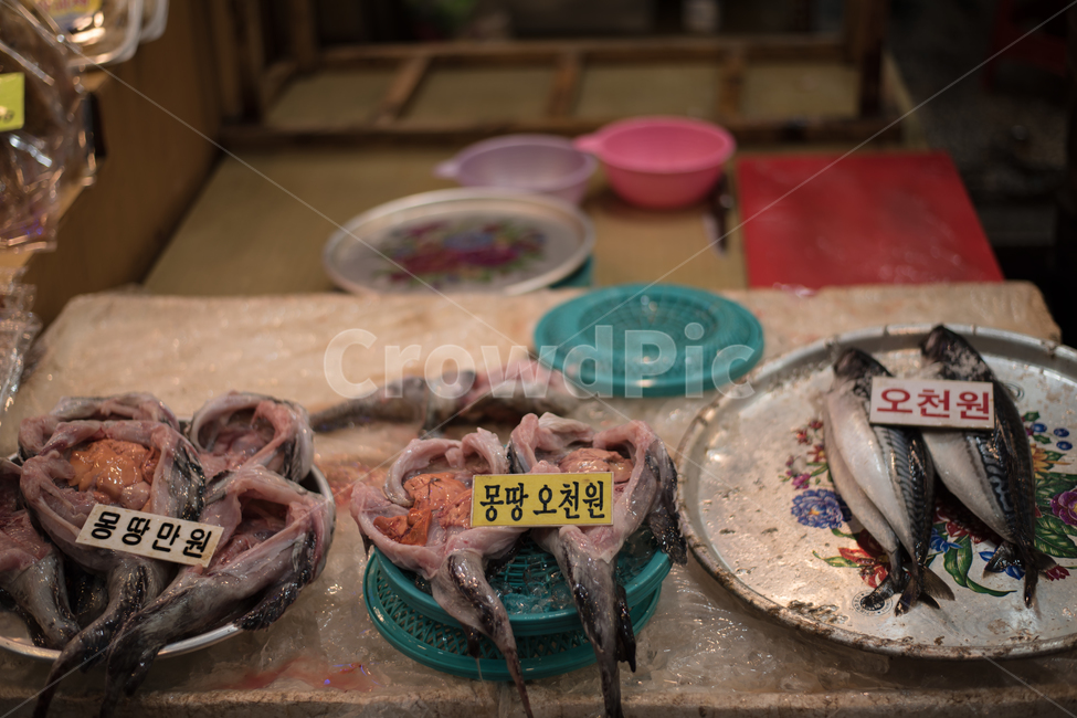 중앙시장,속초,강원도,전통시장,시장,시장,마트,마켓,market,mart,market place,음식,식재료,요리,food,cook,meal,dishes,food reserves,수산물,해산물,fishery products,seafood