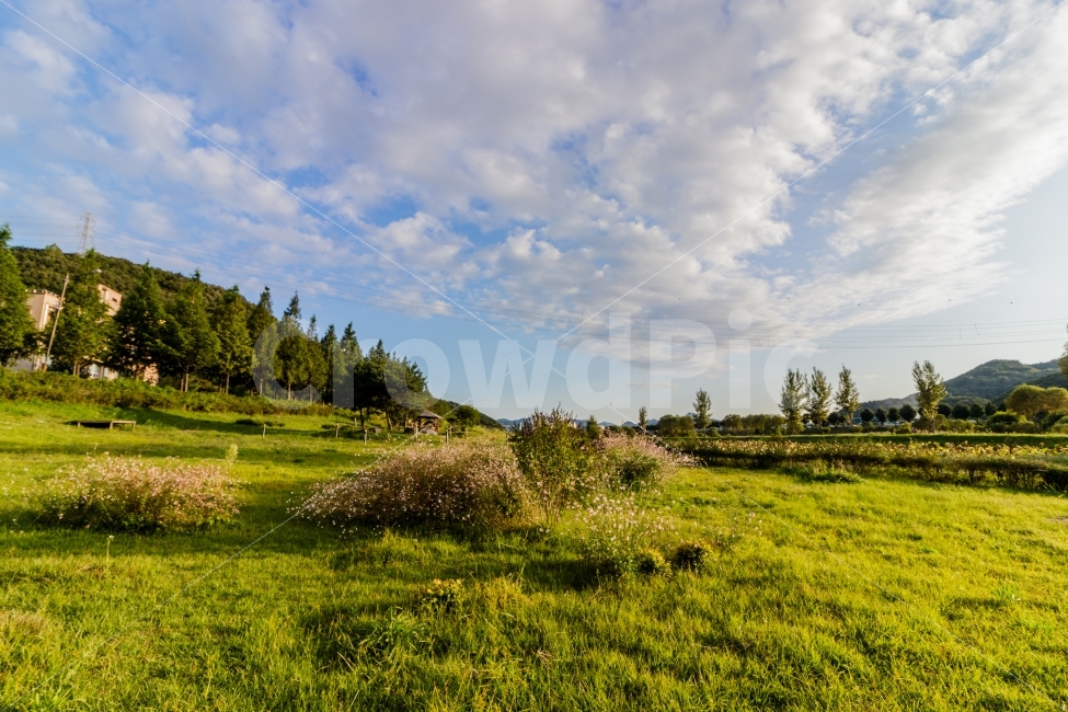 자연,풍경,가을,하늘,구름,자연,풍경,nature,landscape,시골,마을,country,rural,town,grassland,목초지,outdoors,옥외,field,들,farm,농장,농촌,meadow