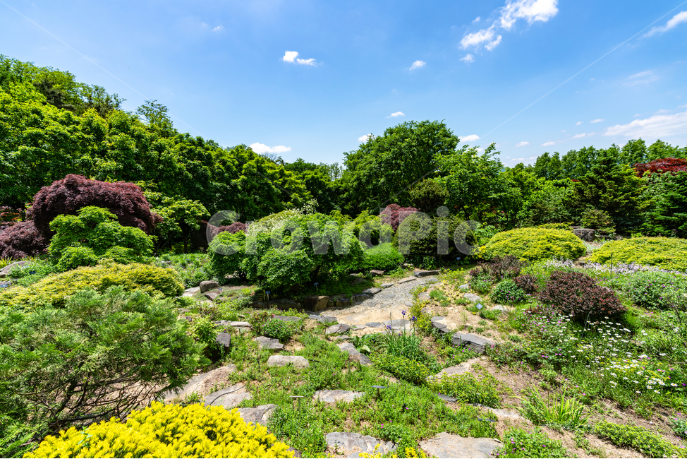 맑음,하늘,자연,공원,푸르름,맑은하늘,나무,sky,natural,park,풍경,구름,cloud,자연,풍경,nature,landscape,한국자연풍경,한국자연경관,korea nature landscape,plant,식물,vegetation,초목,bush,부시,outdoors,옥외