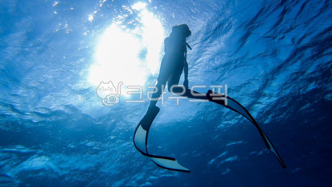 여름사진공모전,바다,다이빙,프리다이빙,수영,바다속,물,스포츠,outdoors,water,underwater,여름,여름,계절,summer,season,스포츠,레저,운동,sports,leisure,exercise
