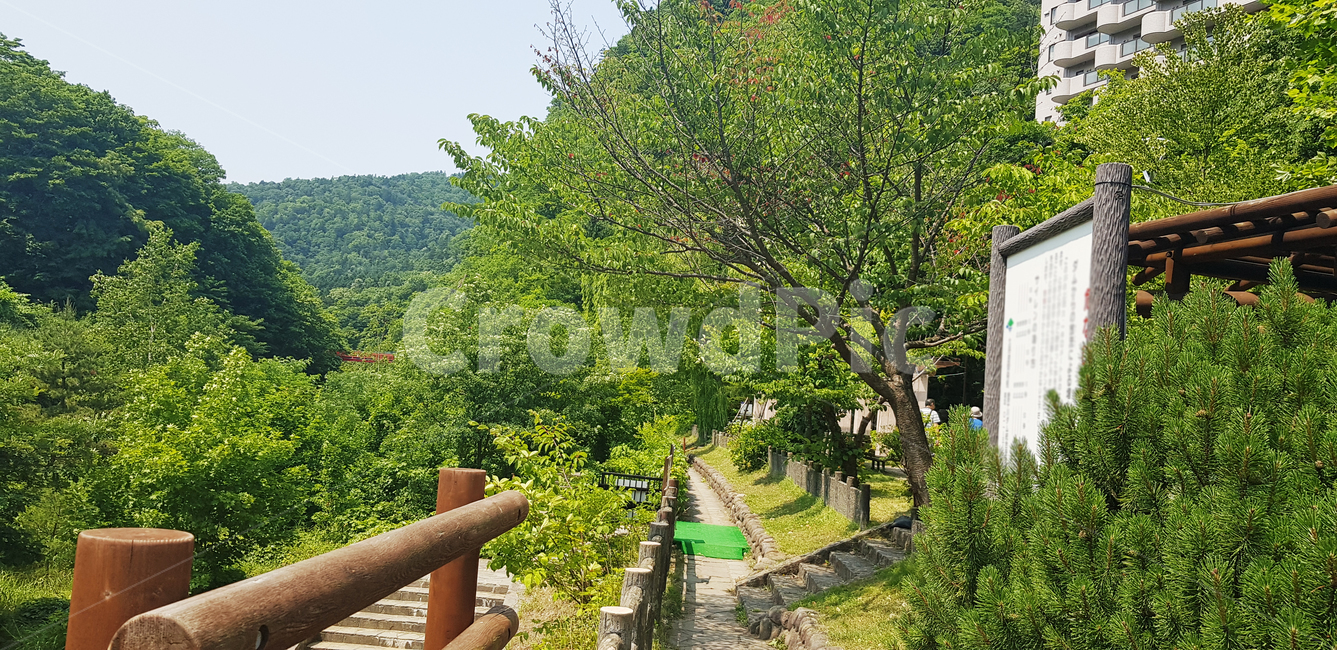 outdoors,옥외,산,풍경,산책로,초록,나무,산속