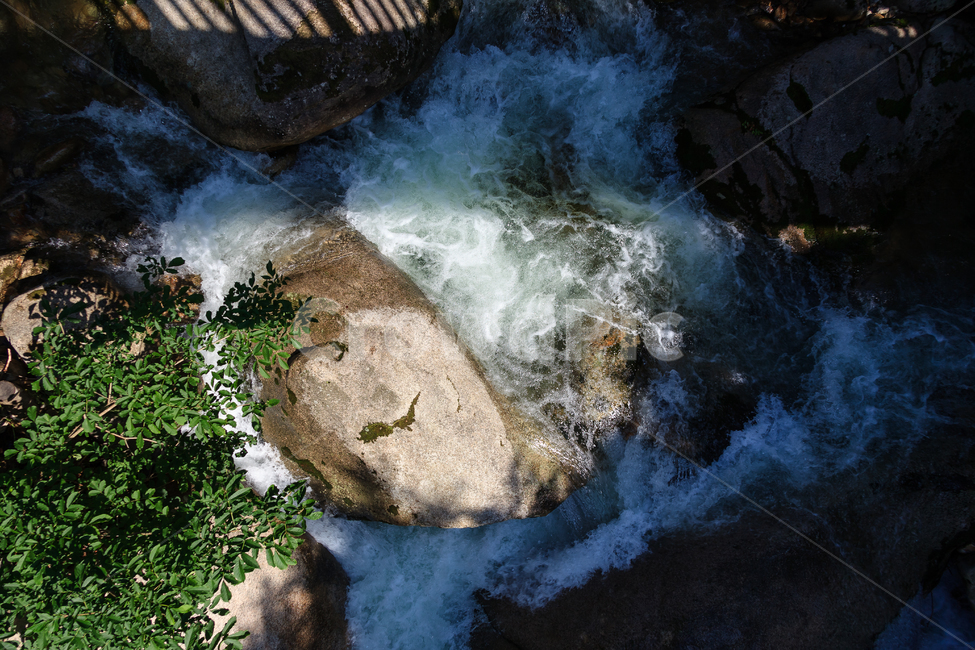 제천자드락길,계곡물,골짜기,숲,제천,자드락길,시원한,자연,풍경,nature,landscape,outdoors,옥외