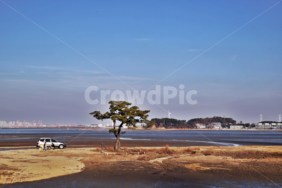 구봉도,대부도,안산시,바다,서해,미인송,부부송,소나무,썰물,자연,풍경,nature,landscape