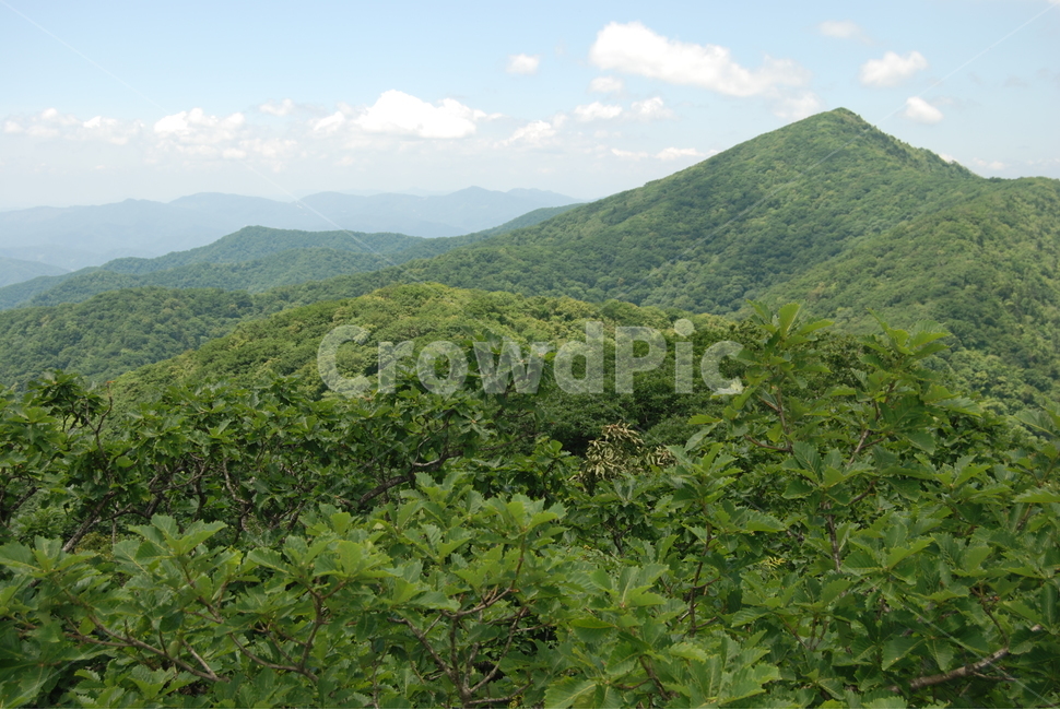 summer,hikingtrail,cloud,tree,하늘,자연,풍경,nature,landscape,hill,언덕,outdoors,옥외