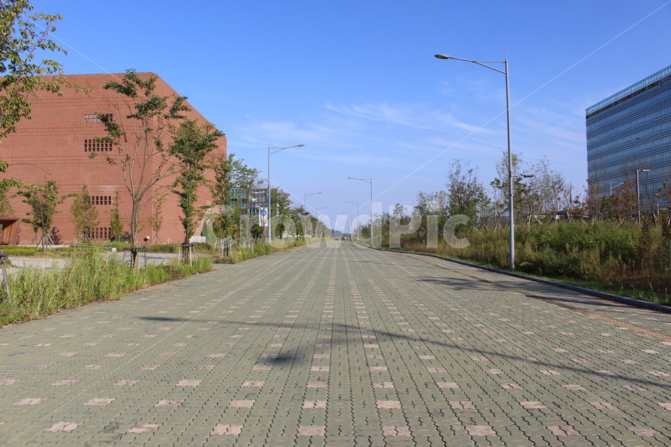 하늘,sky,파란하늘,bluesky,인도,walkway,길