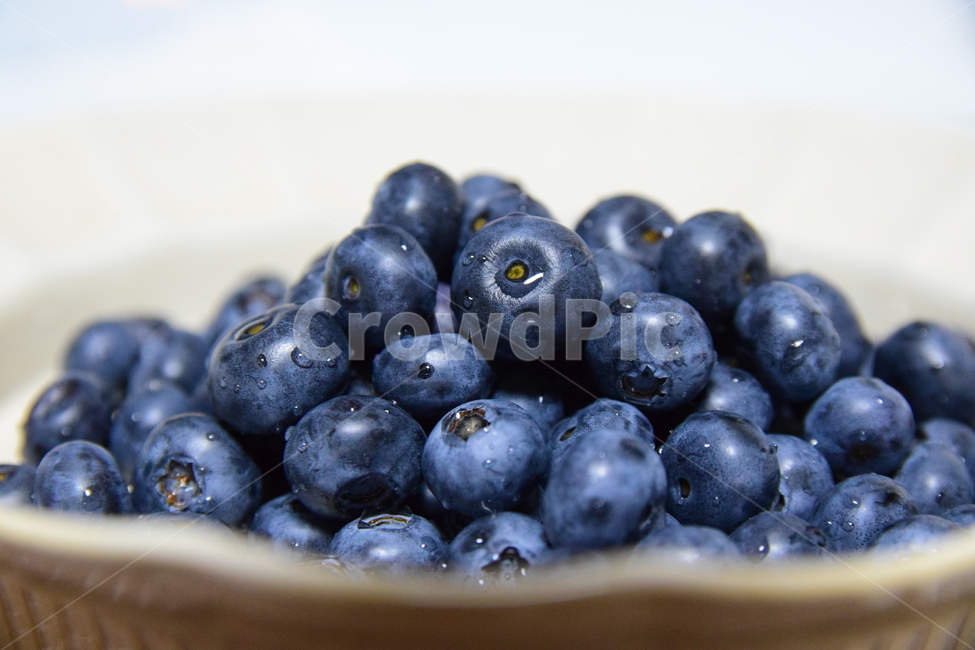 블루베리,베리,과일,열매,과실,씨없는과일,씨없는열매,blueberry,fruits,맛있는,보라색열매,진보라색,과일,열매,fruit