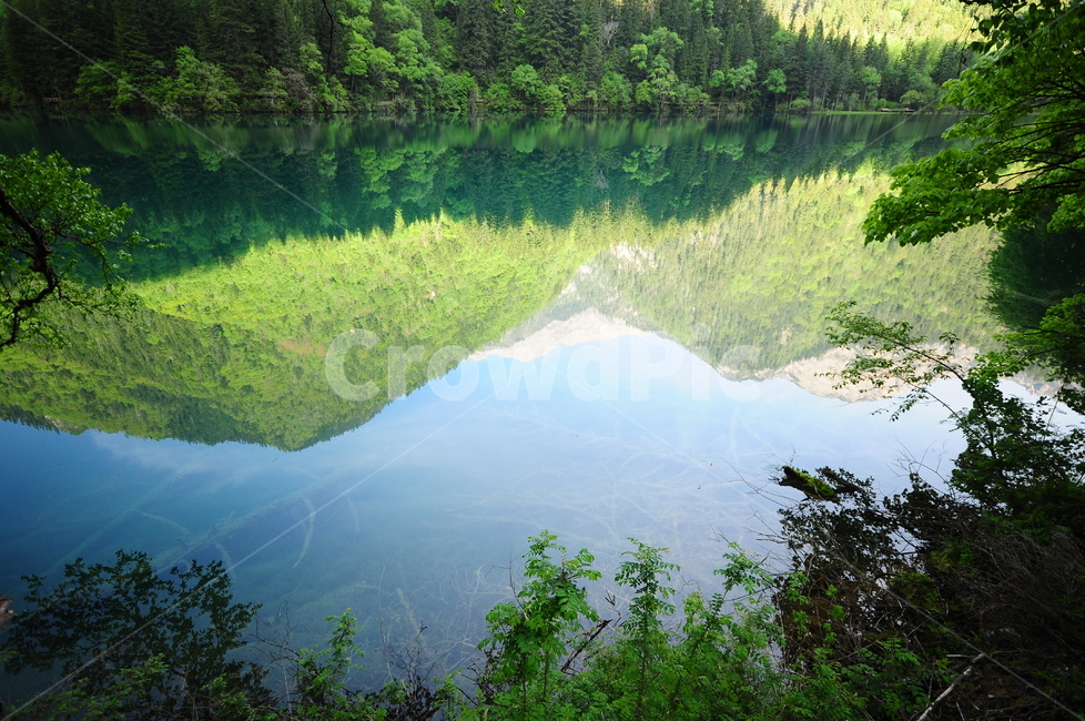 중국,외국,구채구,풍경,자연,관광,호수,물속,산,반영,하늘,자연,풍경,nature,landscape,해외,외국,세계,foreign,oversea,world,세계자연풍경,해외자연풍경,외국자연풍경,world nature landscape,land,땅,outdoors,옥외,water,물