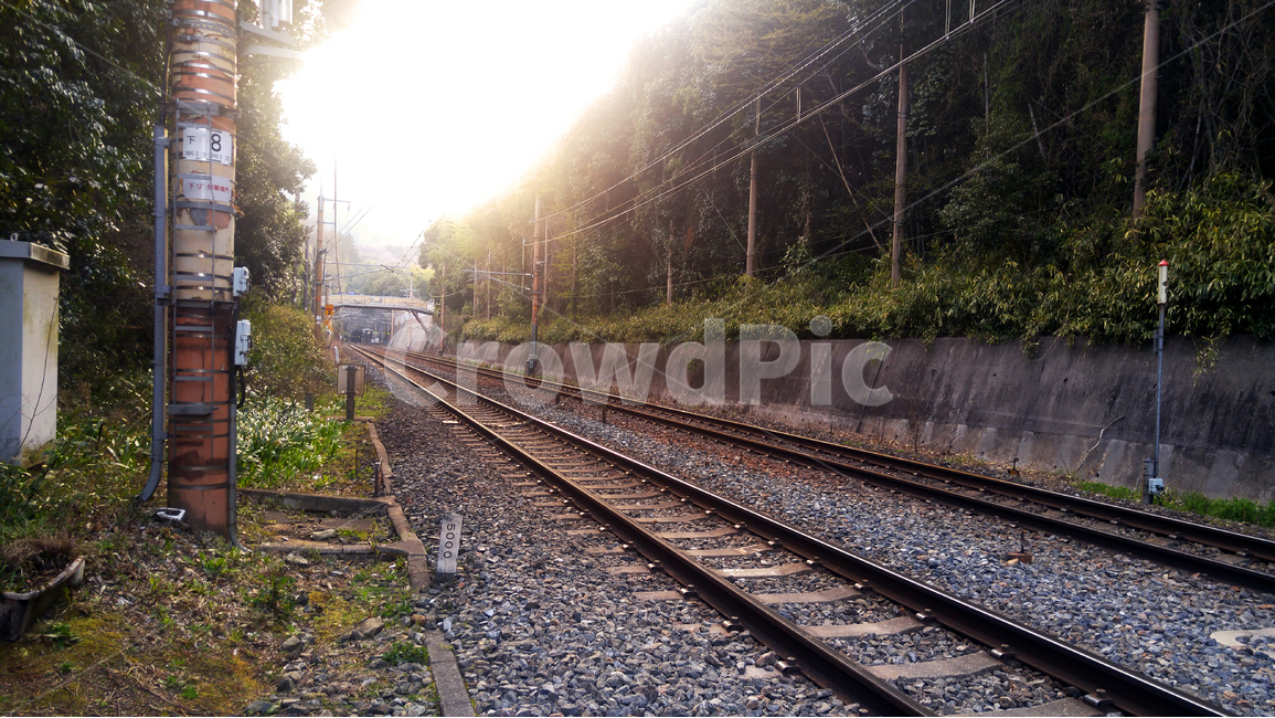 기찻길,철도,일본,일본기찻길,일본철도,일본기차길,기차,자갈,전봇대,쇠,이끼,풀,철길,일본철길,사람없는,조용한,고요한,빛,오후,낮,봄,해외,외국,세계,foreign,oversea,world,교통,교통수단,traffic,transportation,rail,레일,train track,railway